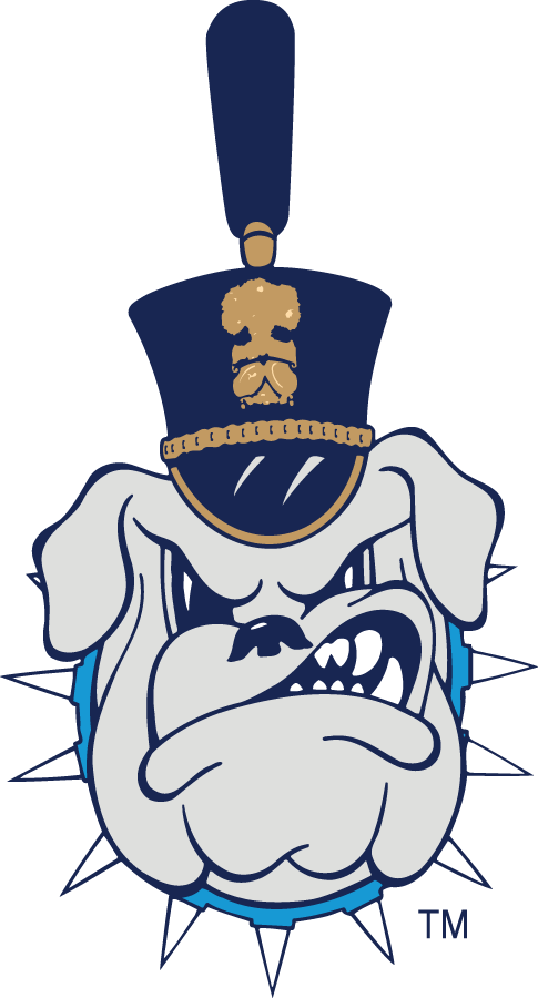 The Citadel Bulldogs 0-Pres Secondary Logo t shirts DIY iron ons v2